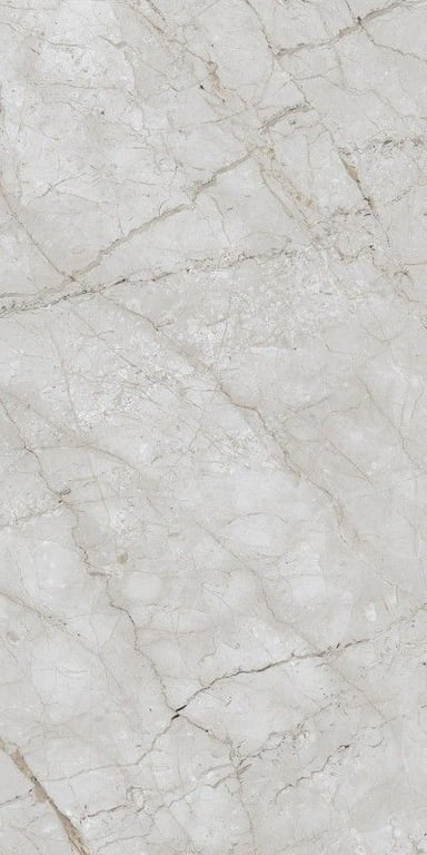 Glazed Porcelain Tiles - 800 x 1600 mm ( 32 x 64 inch ) - Marbo Tusk-01