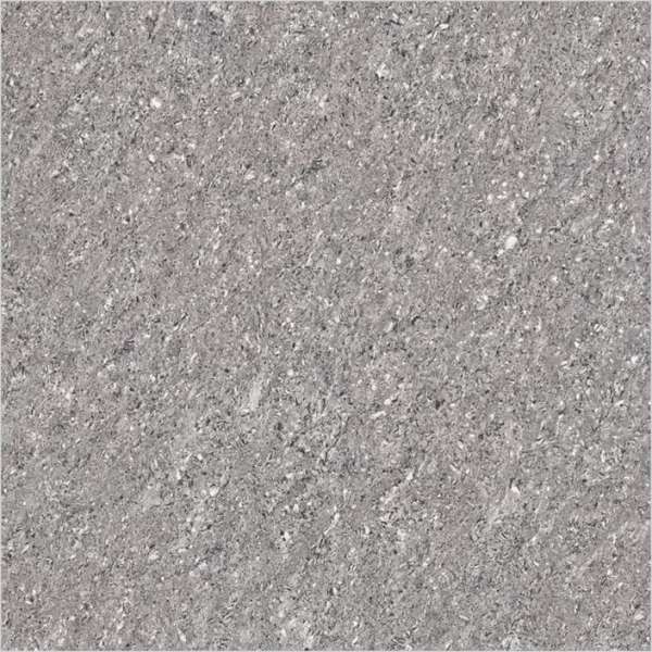 کاشی های شیشه ای دو شارژ - 600 × 600 میلی متر ( 24 × 24 اینچ ) - ROYAL ASH GREY