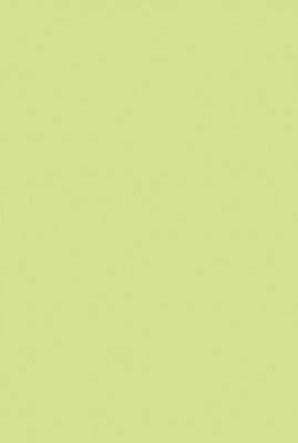 Ordinary Wall Tiles - 200 x 300 mm ( 08 x 12 inch ) - p-green