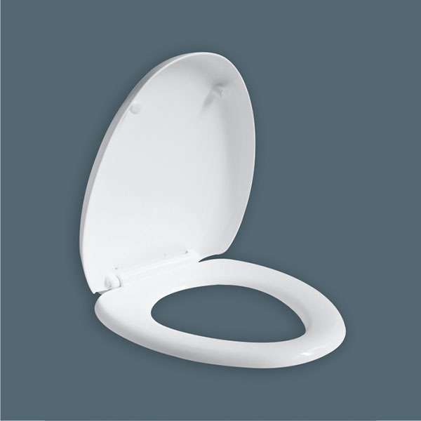 Cistern & Seat Cover  - CPI-3004-2