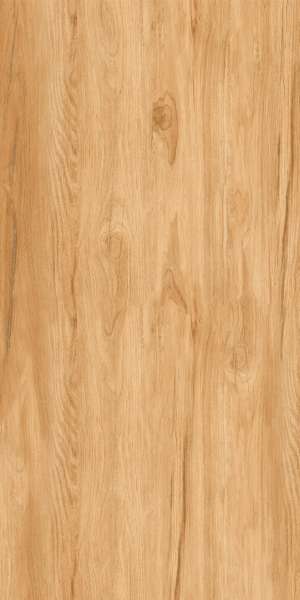 पीजीवीटी और जीवीटी टाइल्स - 600 x 1200 मिमी (24 x 48 इंच) - TENGO WOOD (1)