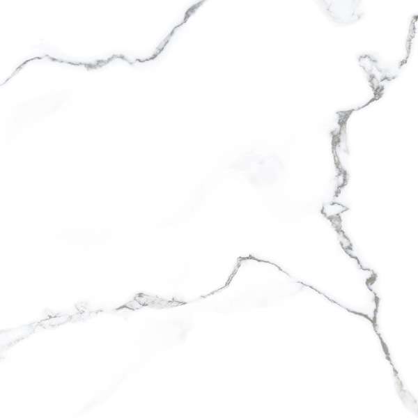 Glazed Porcelain Tiles - 600 x 600 mm ( 24 x 24 inch ) - PEARL STATUTARIO R1