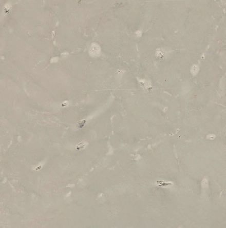 Orgita Limestone