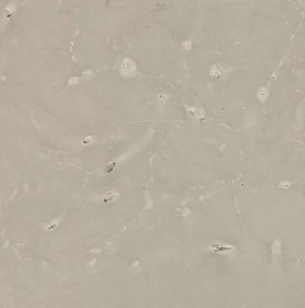 Orgita Limestone