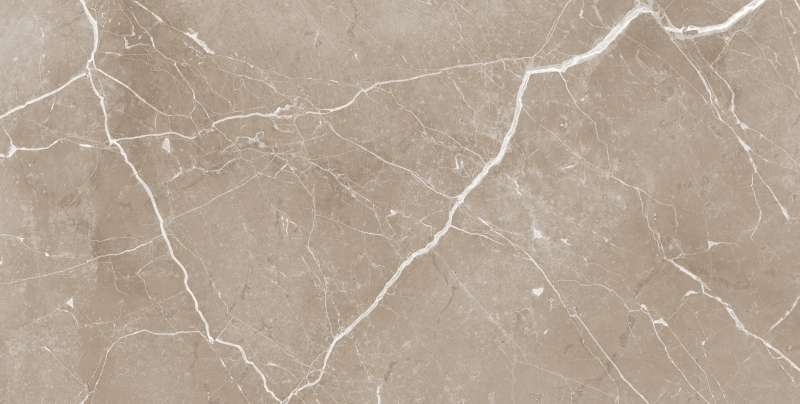 Glazed Porcelain Tiles - 600 x 1200 mm ( 24 x 48 inch ) - RUBY PEARL R1