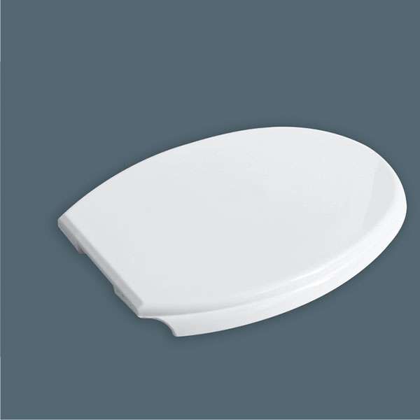 Cistern & Seat Cover  - CPI-3003-2