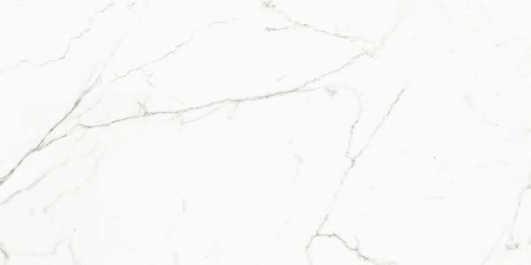 بلاط الباركيه - 600 × 1200 مم (24 × 48 بوصة) - aristone-white-1