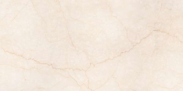 Glazed Porcelain Tiles - 600 x 1200 mm ( 24 x 48 inch ) - BRISSBAN BOTTICINO_01