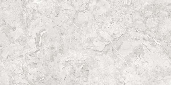 Glazed Porcelain Tiles - 600 x 1200 mm ( 24 x 48 inch ) - 2027-1