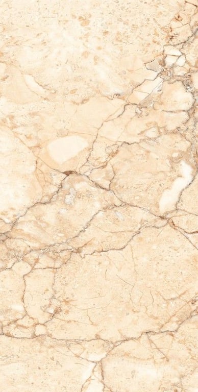 Glazed Porcelain Tiles - 600 x 1200 mm ( 24 x 48 inch ) - ROSSALIYA BROWN[1]