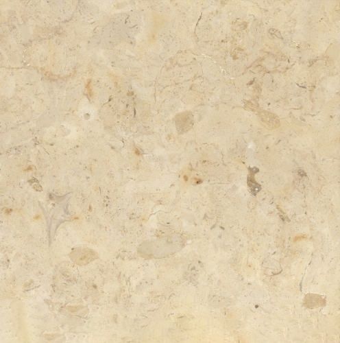 Hebron Bone Limestone