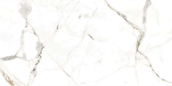 Glazed Porcelain Tiles - 600 x 1200 mm ( 24 x 48 inch ) - svpl-6059-1