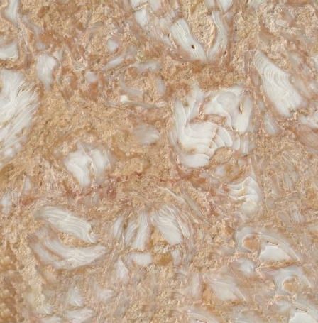 Shells Reef Pink Limestone