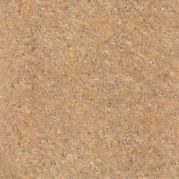 Vitrified Tiles - 600 x 600 mm ( 24 x 24 inch ) - PLATINA ALMOND