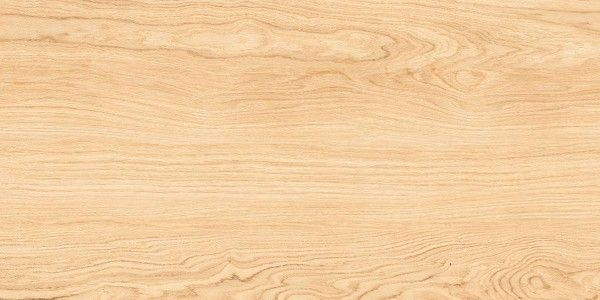 Porcelain Slab - 800 x 1600 mm ( 32 x 64 inch ) - WOODDIC CREMA