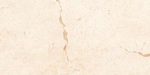 PGVT & GVT - 600 x 1200 mm (24 x 48 inch) - DALLAS BEIGE_01