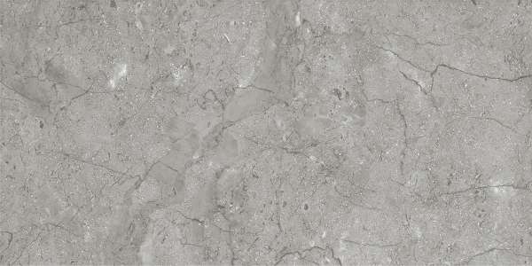 Glazed Porcelain Tiles - 600 x 1200 mm ( 24 x 48 inch ) - svpl-6031-1