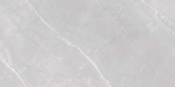 Glazed Porcelain Tiles - 600 x 1200 mm ( 24 x 48 inch ) - GRANDE VALOR ARMANI GREY