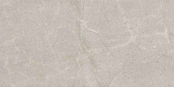 pavimento gres porcellanato - 600 x 1200 mm (24 x 48 pollici) - SWEDAN GREY R1