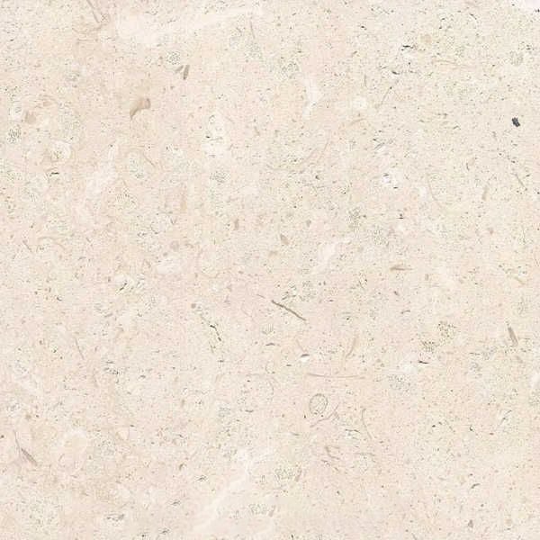 Marbella Blanca Limestone