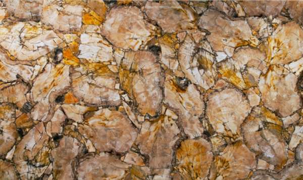 marmo & mattonelle effetto pietra - Qualsiasi dimensione - Gold Petrified Wood