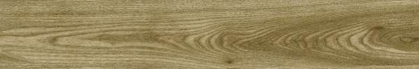 carrelage imitation bois - 200 x 1200 mm (08 x 48 pouces) - BAYUR GINGER_A