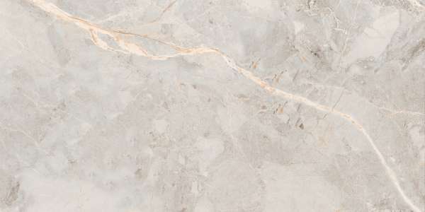 Glazed Porcelain Tiles - 600 x 1200 mm ( 24 x 48 inch ) - RIVER ROSE_01