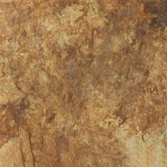 Morayma Sandstone