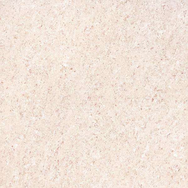 Kothak Vitrified Diisi kaping pindho - 600 x 600 mm ( 24 x 24 inci ) - PLATINA CORAL