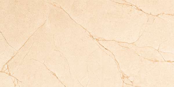 pavimento gres porcellanato - 600 x 1200 mm (24 x 48 pollici) - vermont-ivory-1