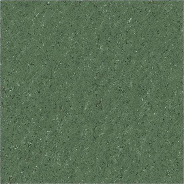 Ganda muatan Vitrified Kotak - 600 x 600 mm ( 24 x 24 inci ) - ROYAL FOREST GREEN