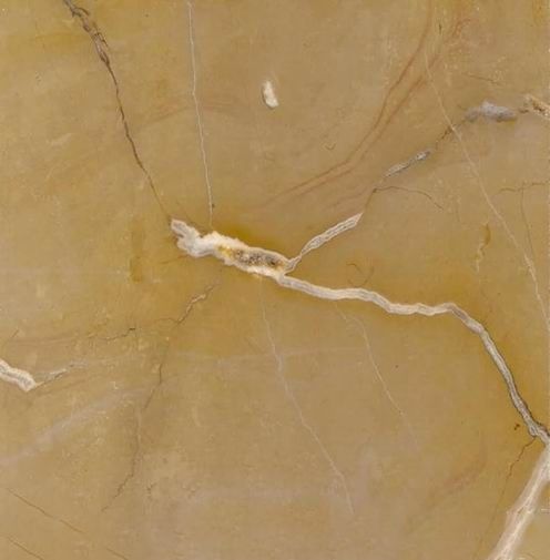 Amarillo Oro