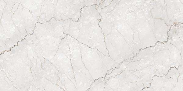 carrelage porcelanosa - 600 x 1200 mm ( 24 x 48 pouces ) - BOTOCHINO GRIS_01