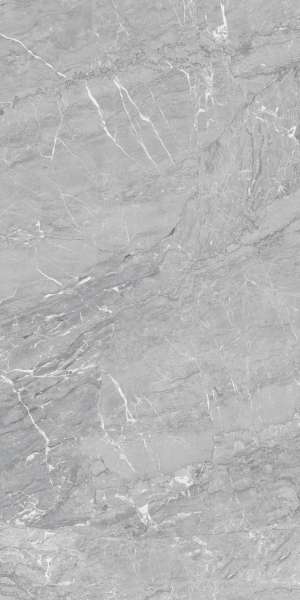 Glazed Porcelain Tiles - 600 x 1200 mm ( 24 x 48 inch ) - CARNICO GRIS_01