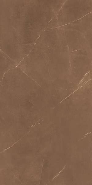 tiling porcelain stoneware - 800 x 1600 mm (32 x 64 pouces) - ESPANIA MOCHA-F1