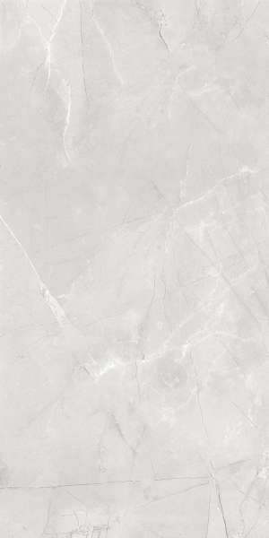 tiling porcelain stoneware - 800 x 1600 mm (32 x 64 pouces) - PULPISP ASH_NEW_A