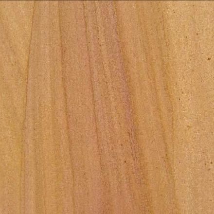 Golden Sharani Sandstone