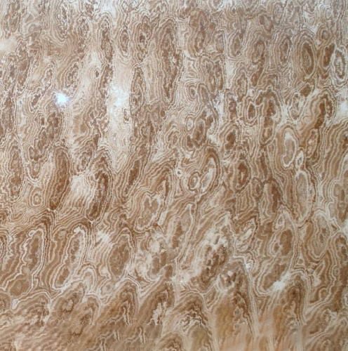 Exotic Lucce Travertine