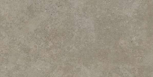 بلاط الباركيه - 600 × 1200 مم (24 × 48 بوصة) - FIZA GRIS R1