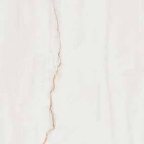 Glazed Porcelain Tiles - 600 x 600 mm ( 24 x 24 inch ) - image-273