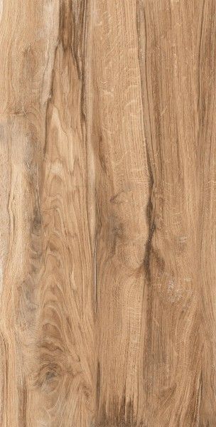 PGVT & GVT - 600 x 1200 mm (24 x 48 လက်မ) - NERO WOOD BROWN-01