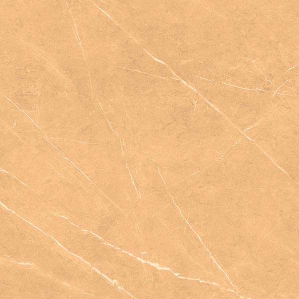 carrelage porcelanosa - 600 x 600 mm ( 24 x 24 pouces ) - CP 5019 R1