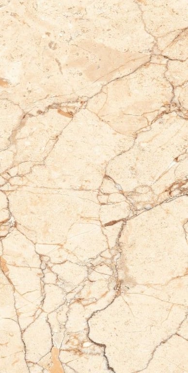 Glazed Porcelain Tiles - 600 x 1200 mm ( 24 x 48 inch ) - ROSSALIYA BROWN[1]