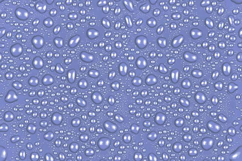 壁 タイル - 300 x 450 mm（12 x 18インチ） - 1462_HL_2