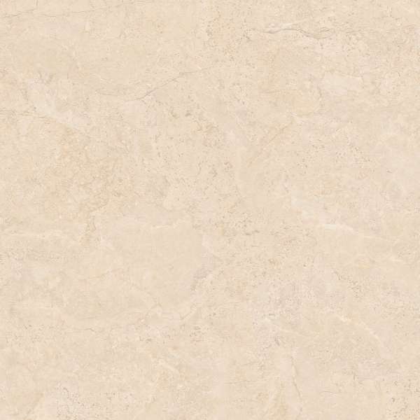 piastrelle gres porcellanato - 600 x 600 mm (24 x 24 pollici) - 3114