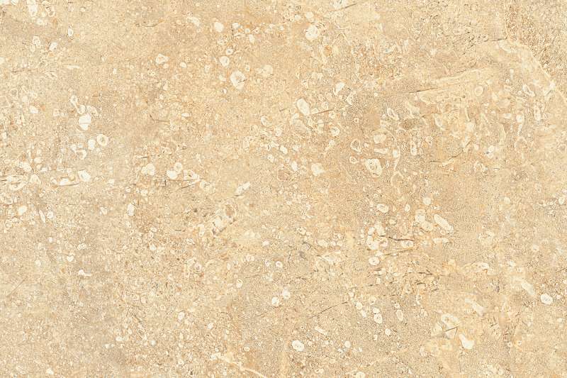 piastrelle bagno - 300 x 450 mm (12 x 18 pollici) - 1094_HL_1