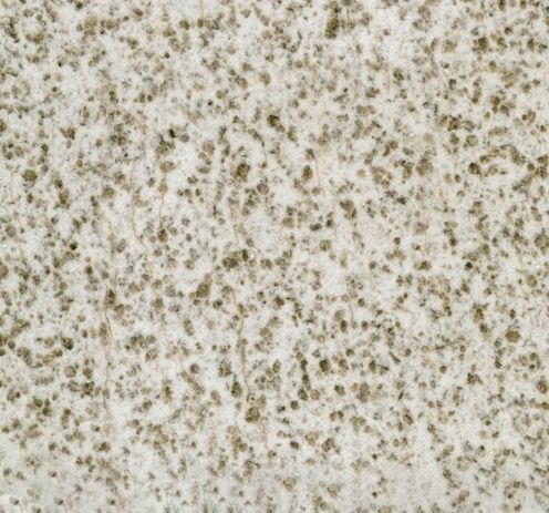 Mongolia White Granite