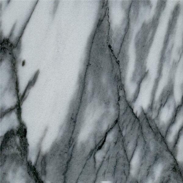 Black Sparrow Marble