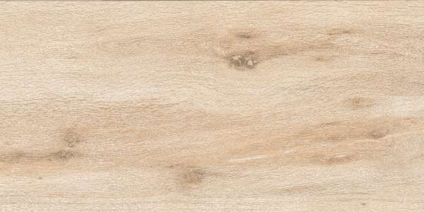 крупноформатный керамогранит - 600 x 1200 мм (24 x 48 дюймов) - IRONWOOD BEIGE-R1