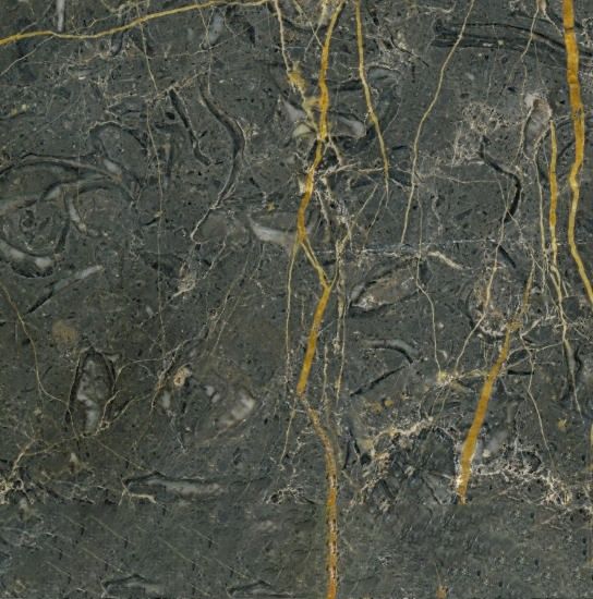 Golden Black Marble